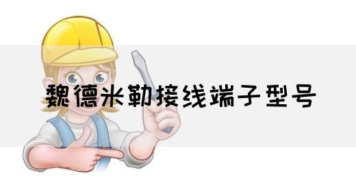 什么是魏德米勒接线端子型号？(图1)