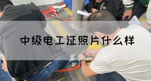 中级电工证照片什么样
