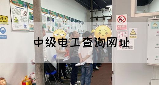 中级电工查询网址