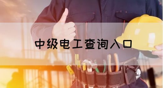 中级电工查询入口