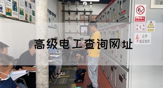 高级电工查询网址