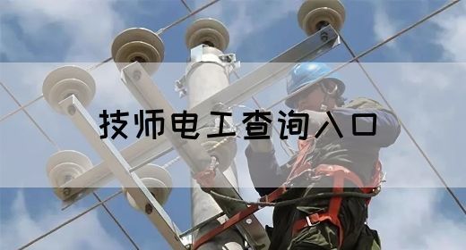 技师电工查询入口