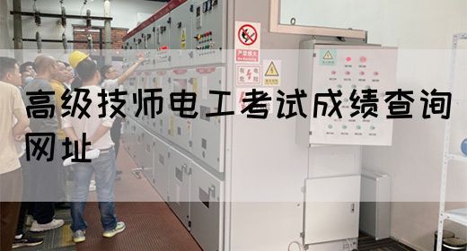 高级技师电工考试成绩查询网址
