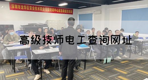 高级技师电工查询网址