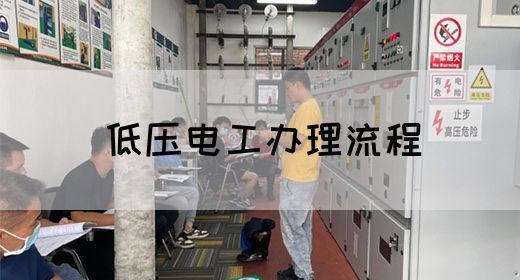 低压电工办理流程