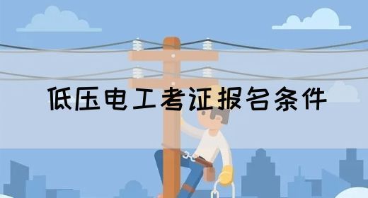 低压电工考证报名入口