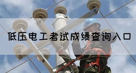 低压电工考试成绩查询入口