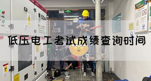 低压电工考试成绩查询时间