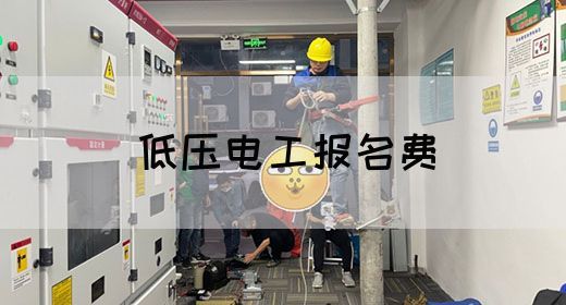 低压电工报名费