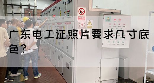 广东电工证照片要求几寸底色？