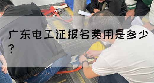 广东电工证报名费用是多少？