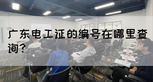 广东电工证的编号在哪里查询？