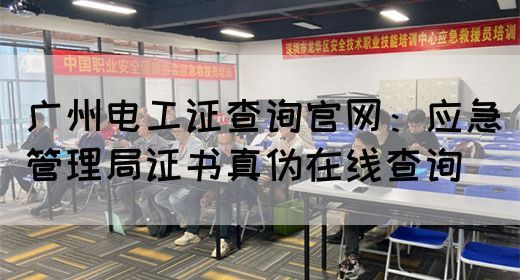 广州电工证查询官网：应急管理局证书真伪在线查询